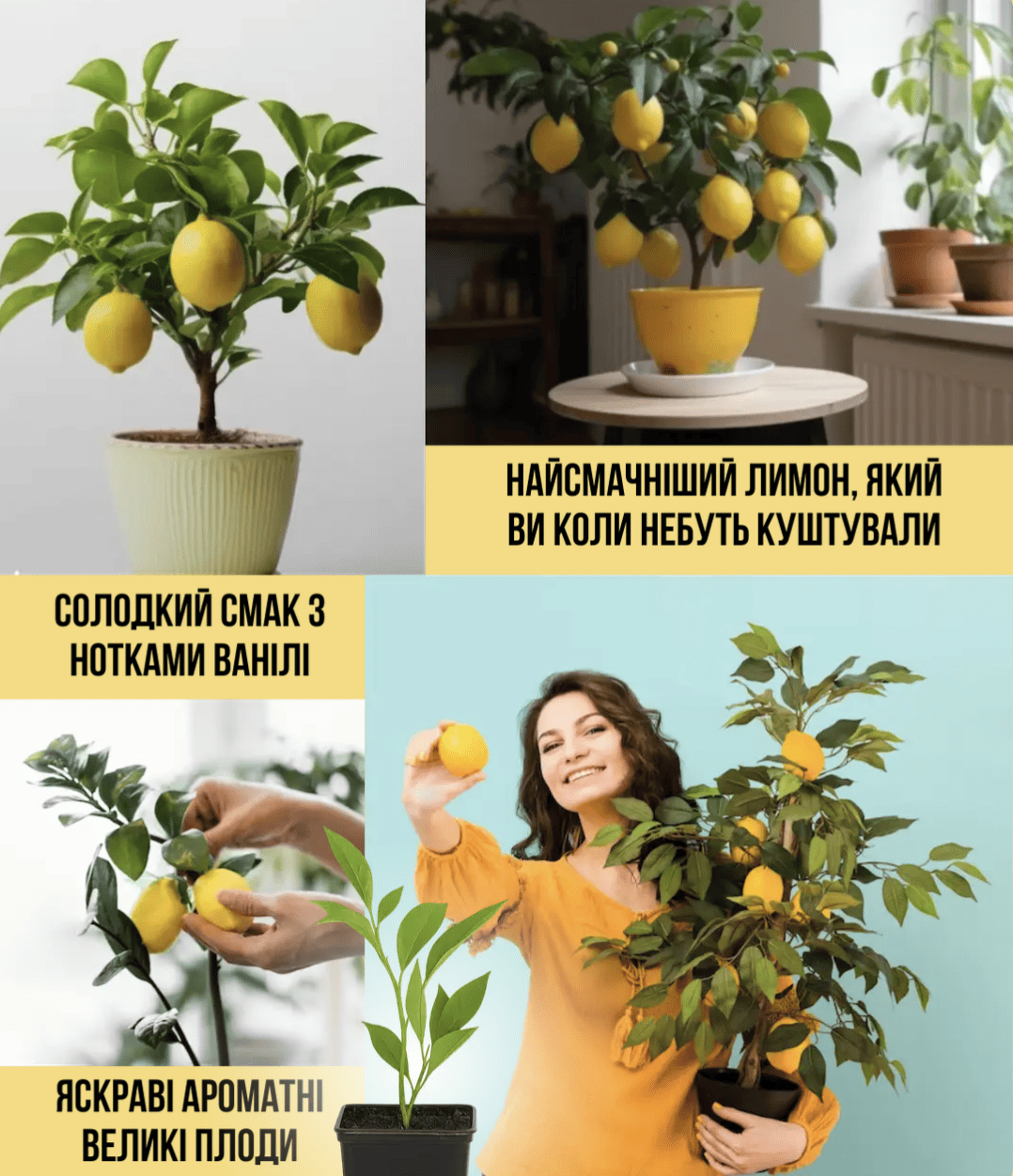 Лимон "Ванільний"